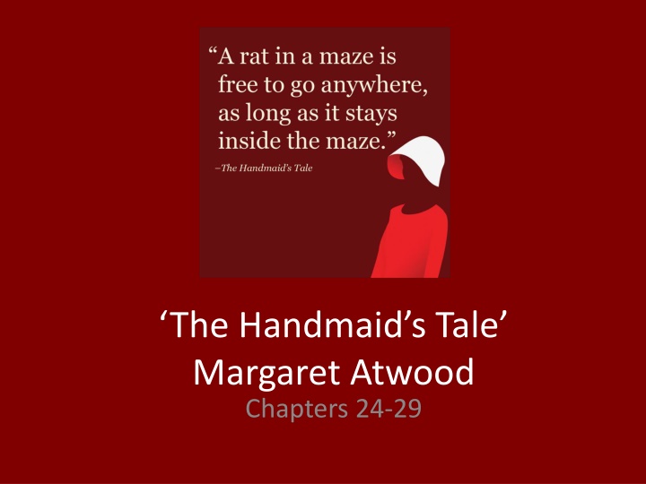 the handmaid s tale margaret atwood chapters 24 29