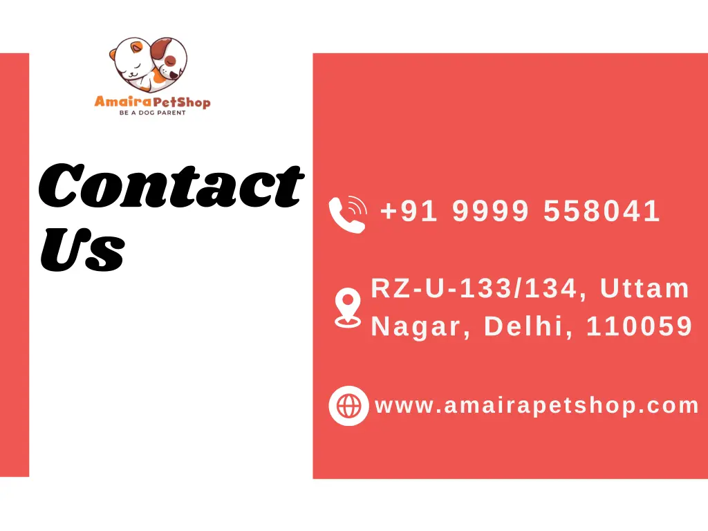 contact us