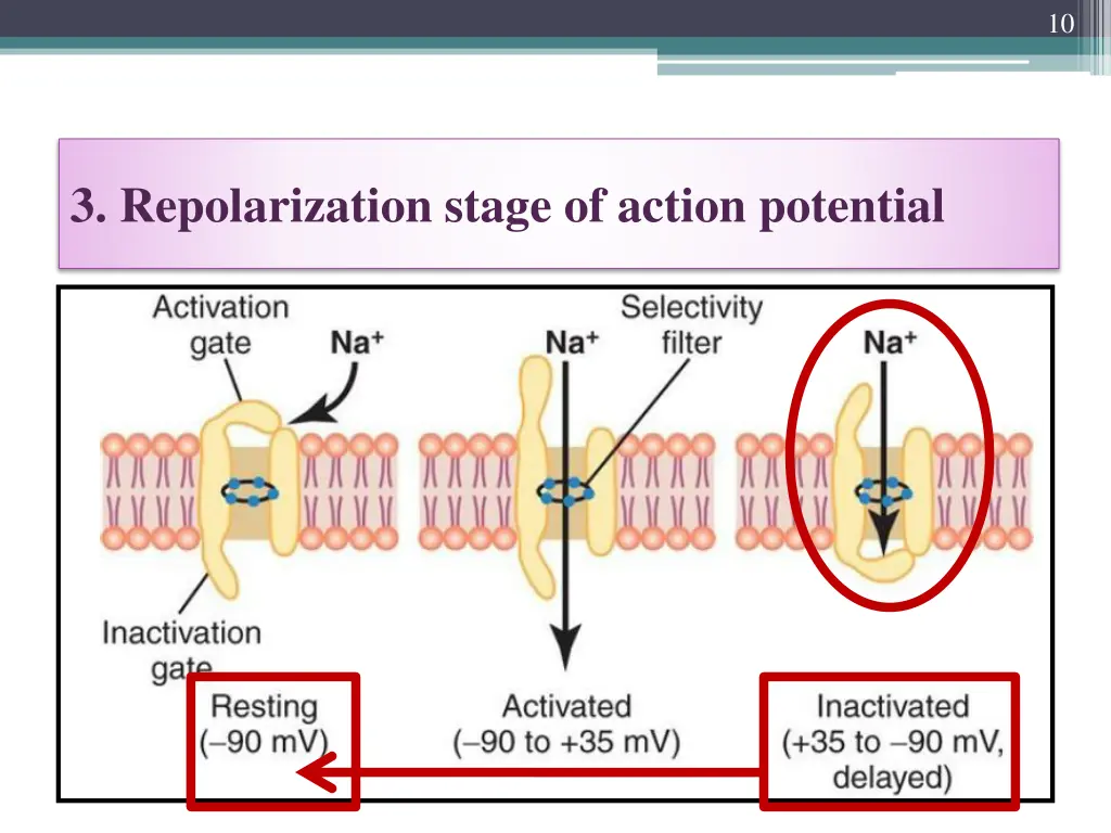 slide10