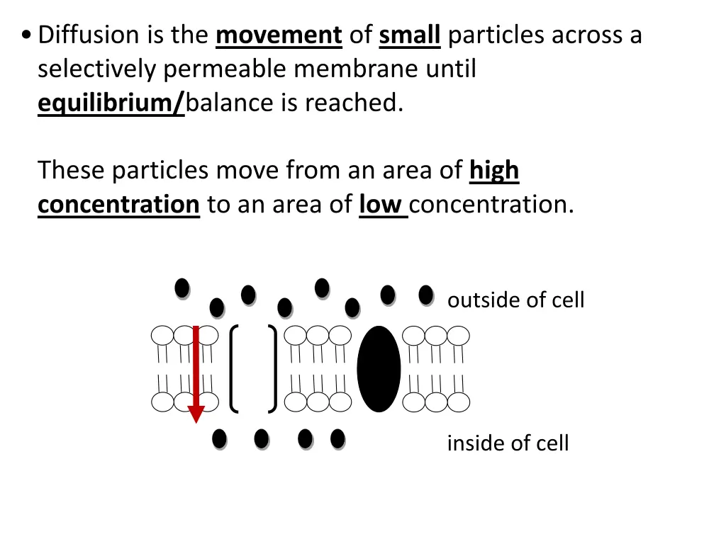 diffusion is the movement of small particles