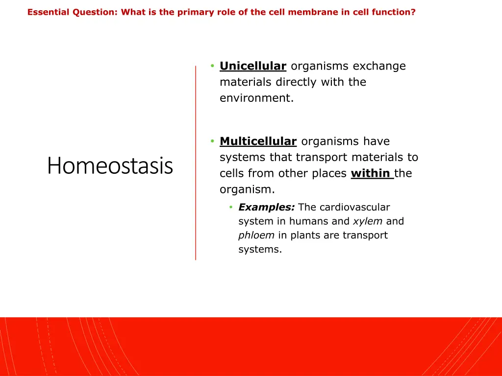 essential question what is the primary role 1