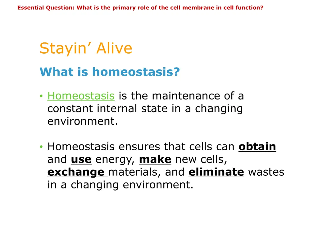 essential question what is the primary role