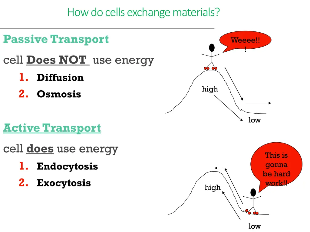 how do cells exchange materials