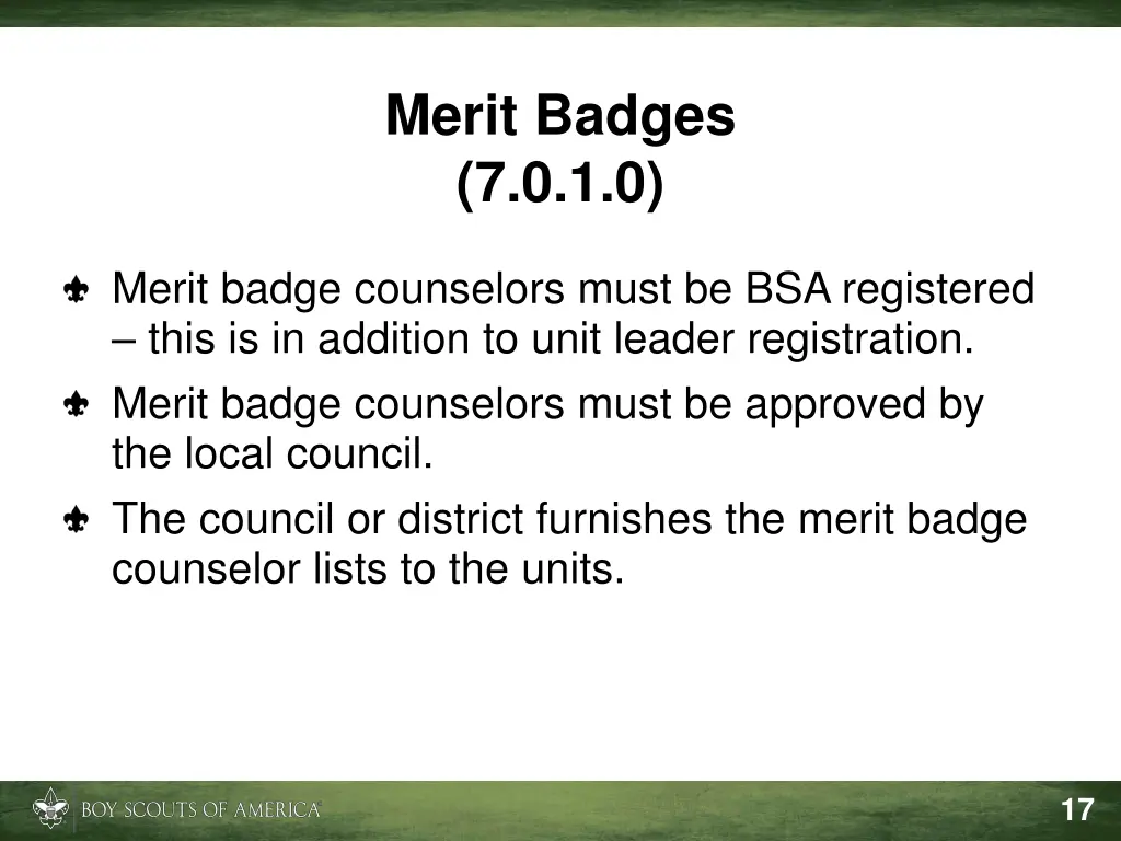 merit badges 7 0 1 0