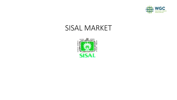 sisal market