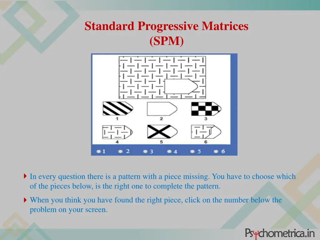 standard progressive matrices spm