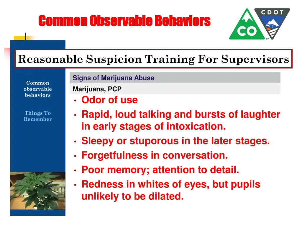 common observable behaviors common observable 2