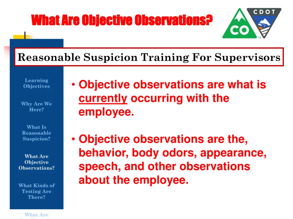 what are objective observations what