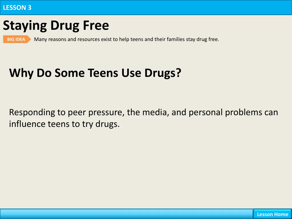 lesson 3 staying drug free