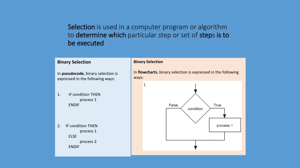 selection selection is used in a computer program