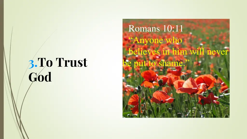 romans 10 11 anyone who believes in him will