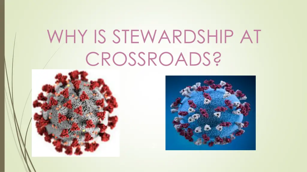 why is stewardship at crossroads