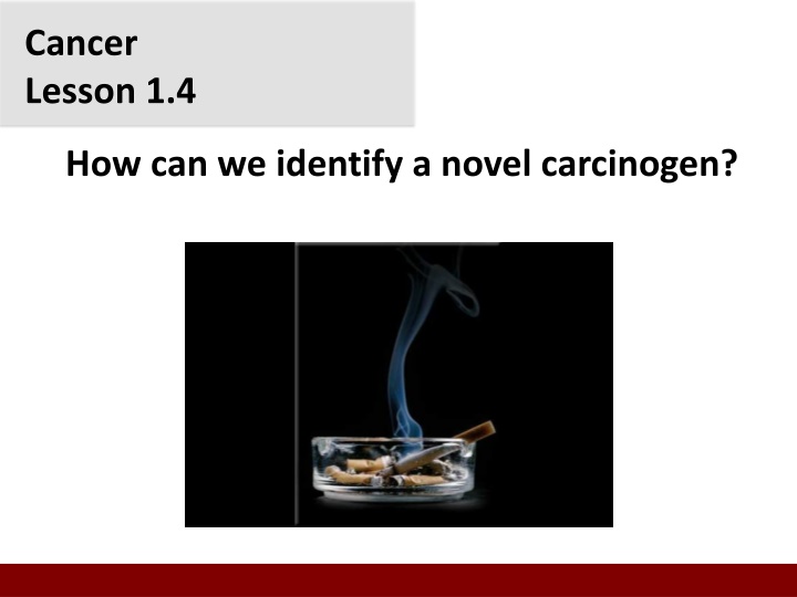 cancer lesson 1 4 how can we identify a novel