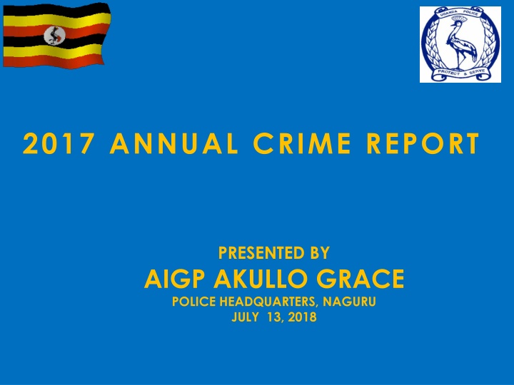 2017 annual crime report