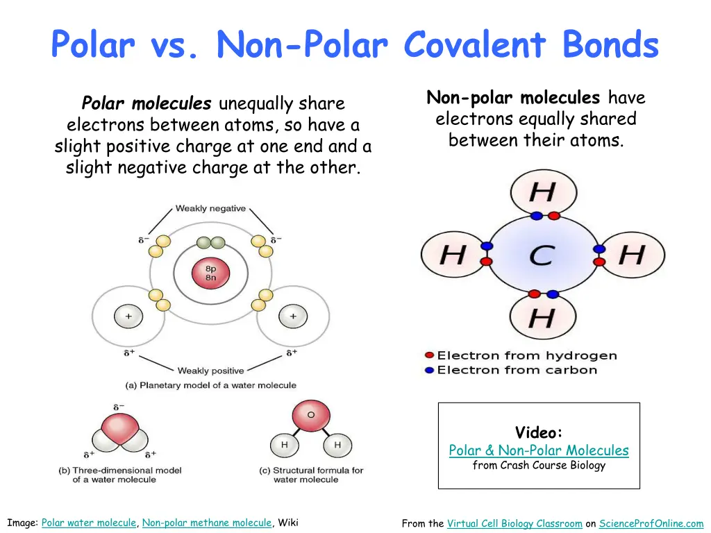 polar vs non polar covalent bonds