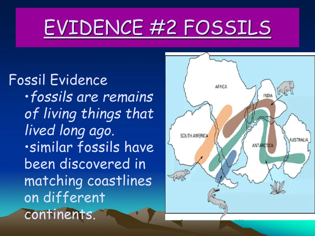 evidence 2 fossils