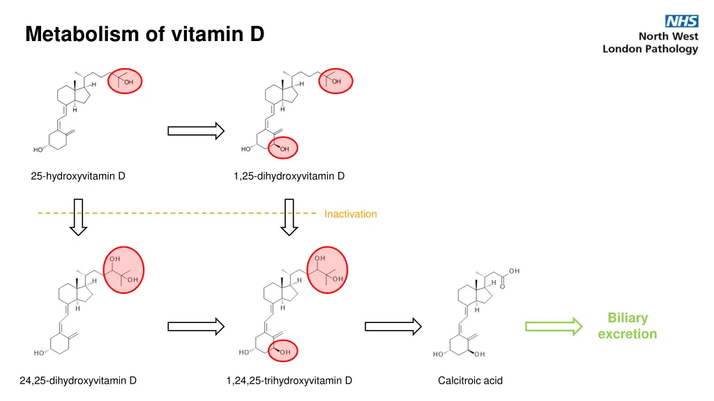 metabolism of vitamin d