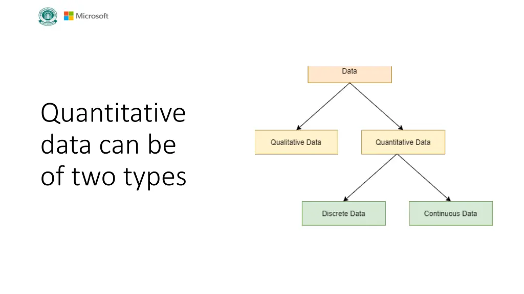 quantitative data can be of two types