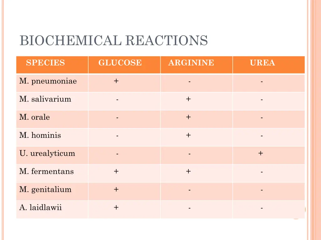 biochemical reactions