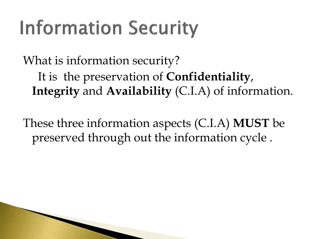 what is information security