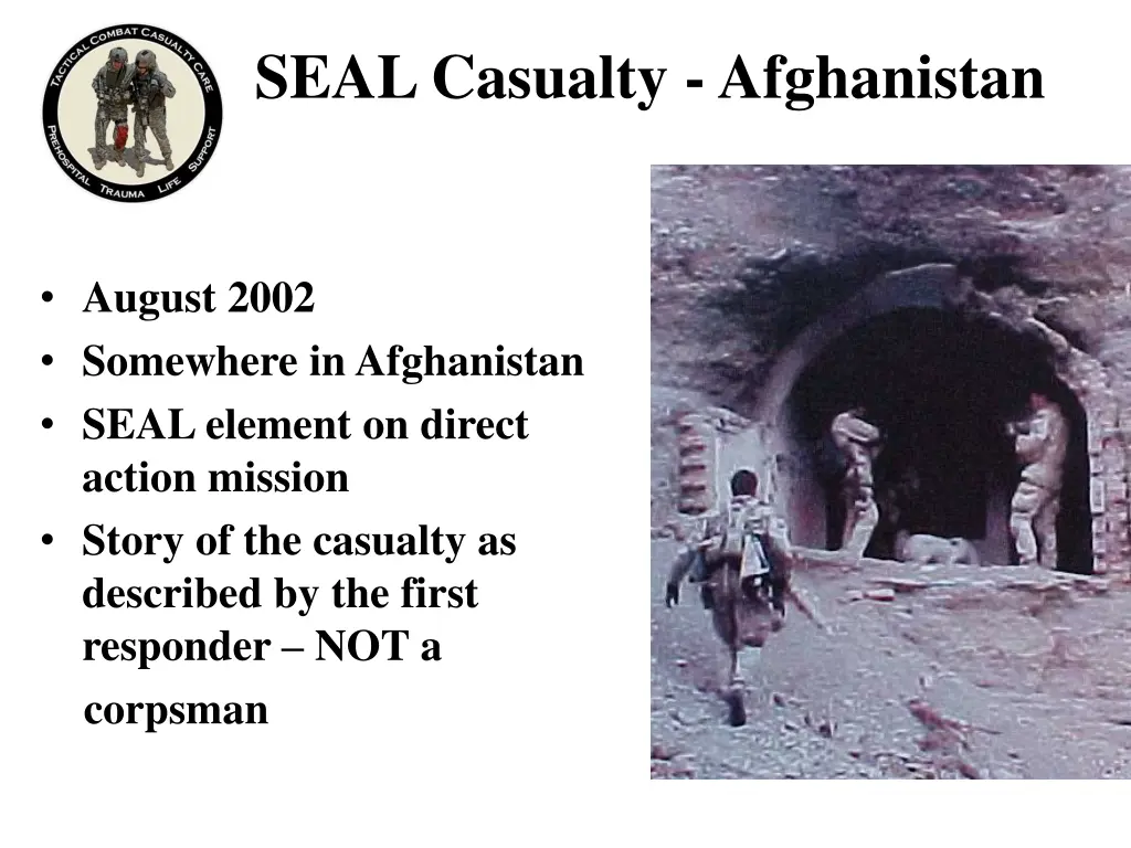 seal casualty afghanistan