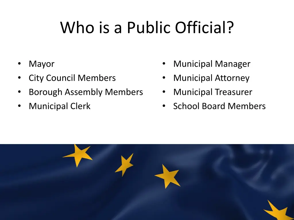 who is a public official