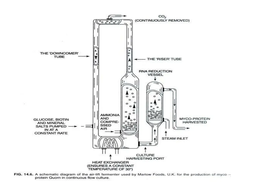 a schematic diagram of the air lift fermenter