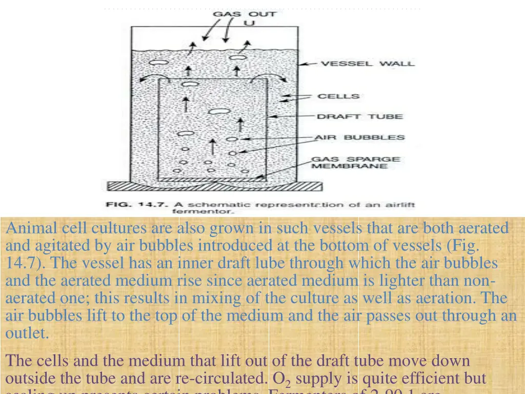 a sxhematic representation of an airfit fermentor