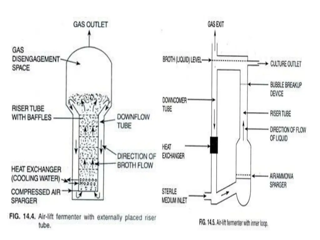 air lift fermenter with externally placed riser