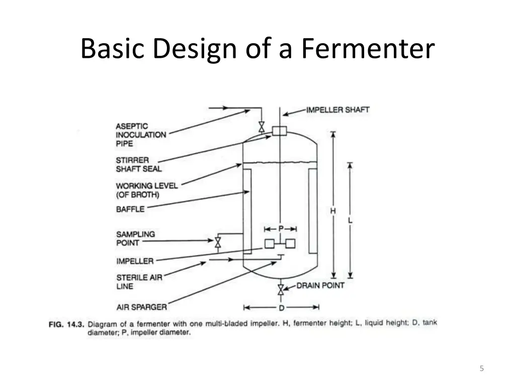 basic design of a fermenter