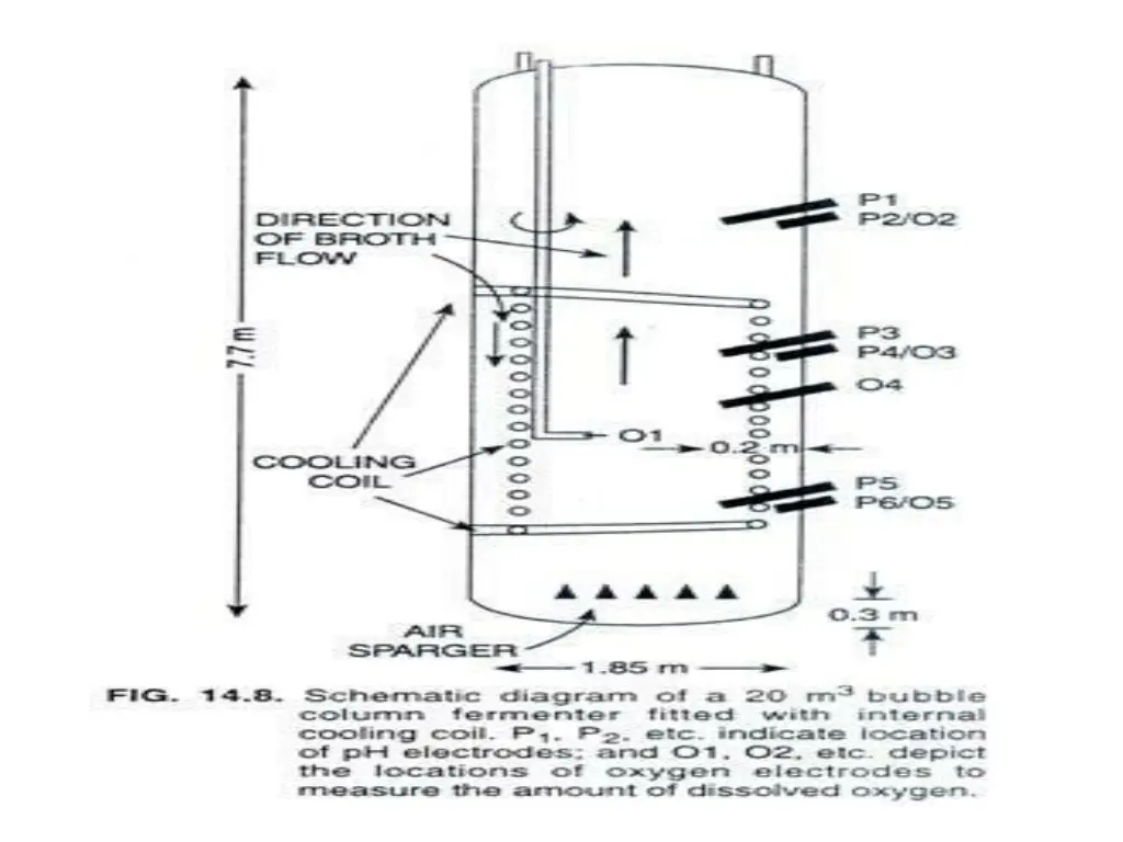 bubble column fermenter