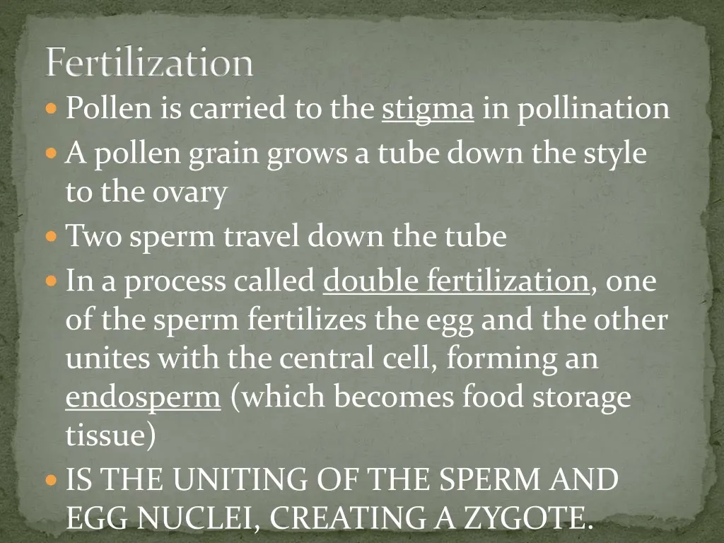 fertilization