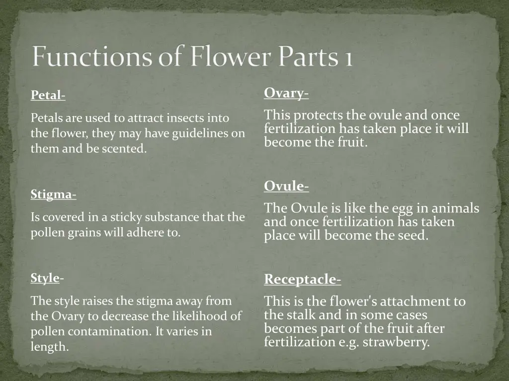 functions of flower parts 1