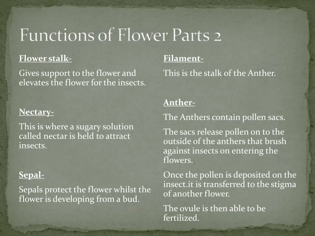 functions of flower parts 2