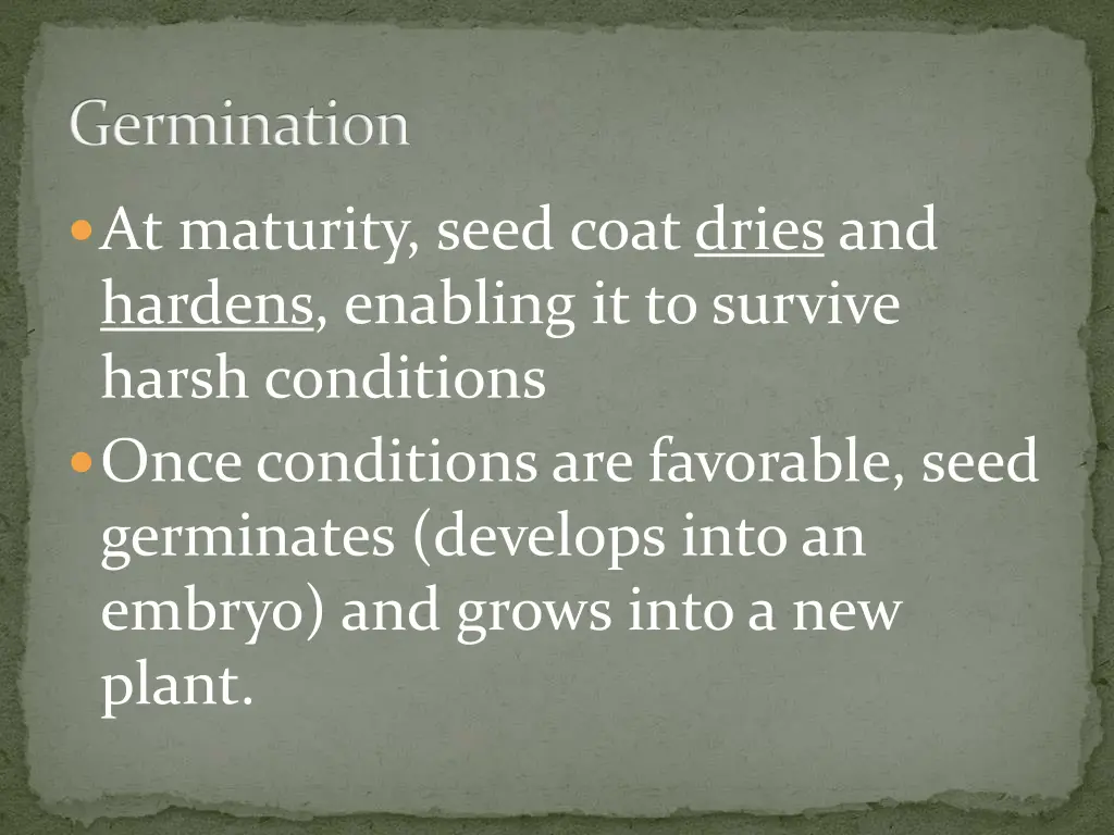 germination