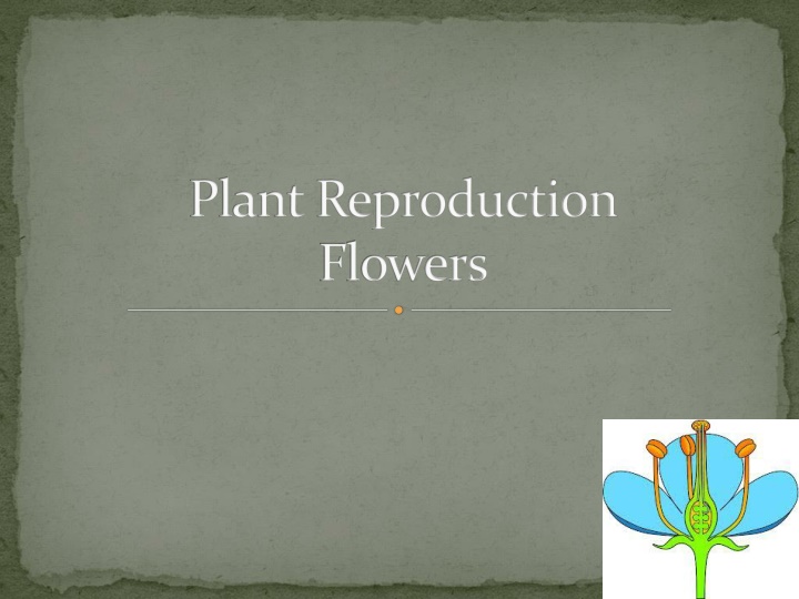 plant reproduction flowers