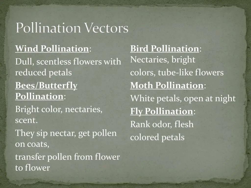 pollination vectors