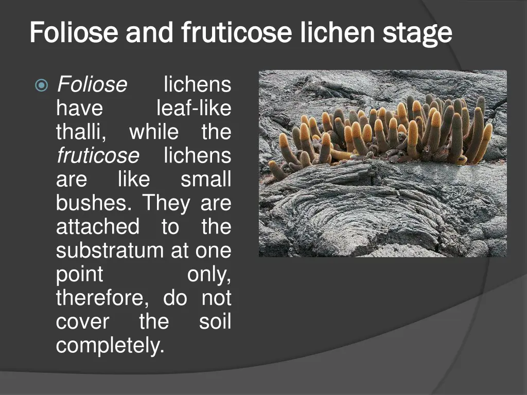 foliose and foliose and fruticose