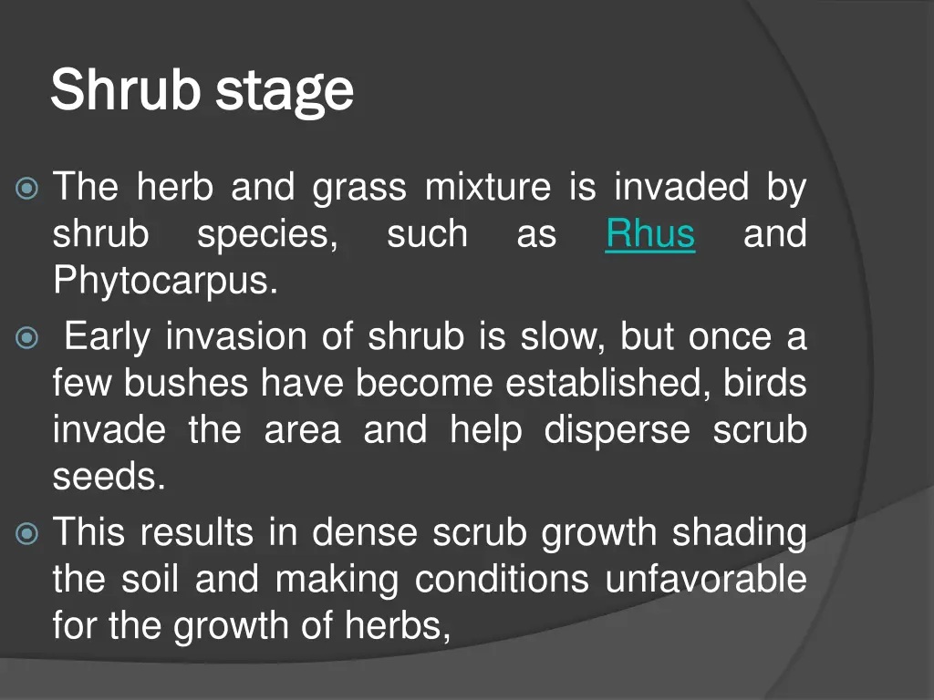 shrub stage shrub stage