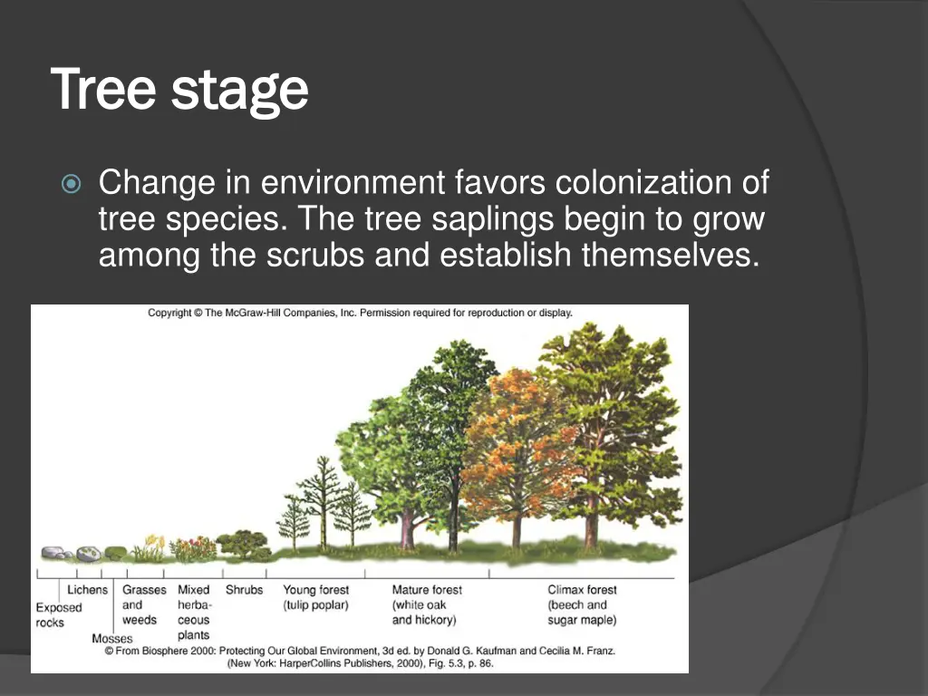 tree stage tree stage