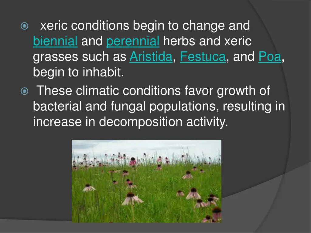 xeric conditions begin to change and biennial