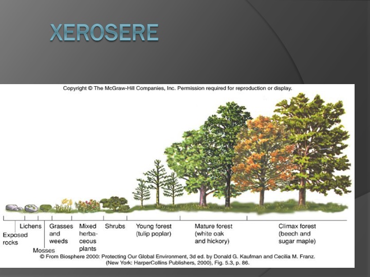 xerosere xerosere