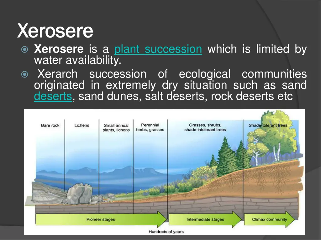 xerosere xerosere xerosere is a plant succession