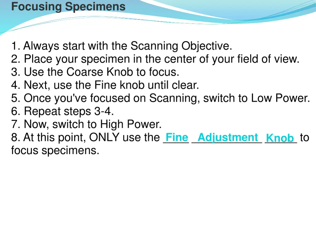 focusing specimens