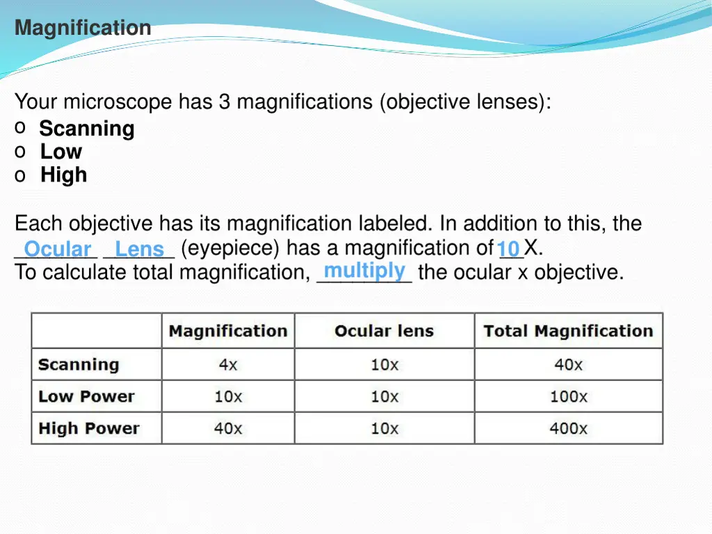 magnification