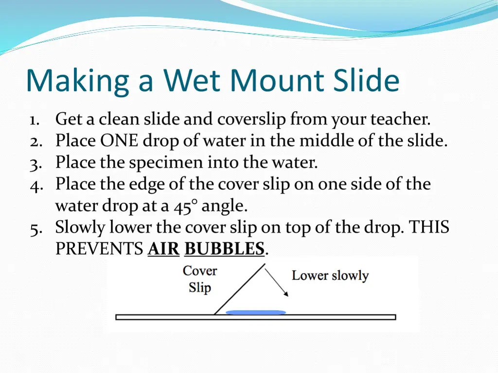 making a wet mount slide