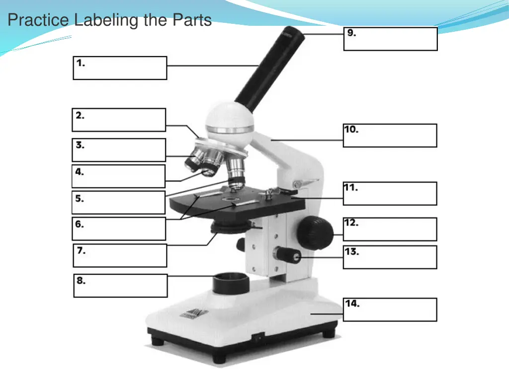 practice labeling the parts