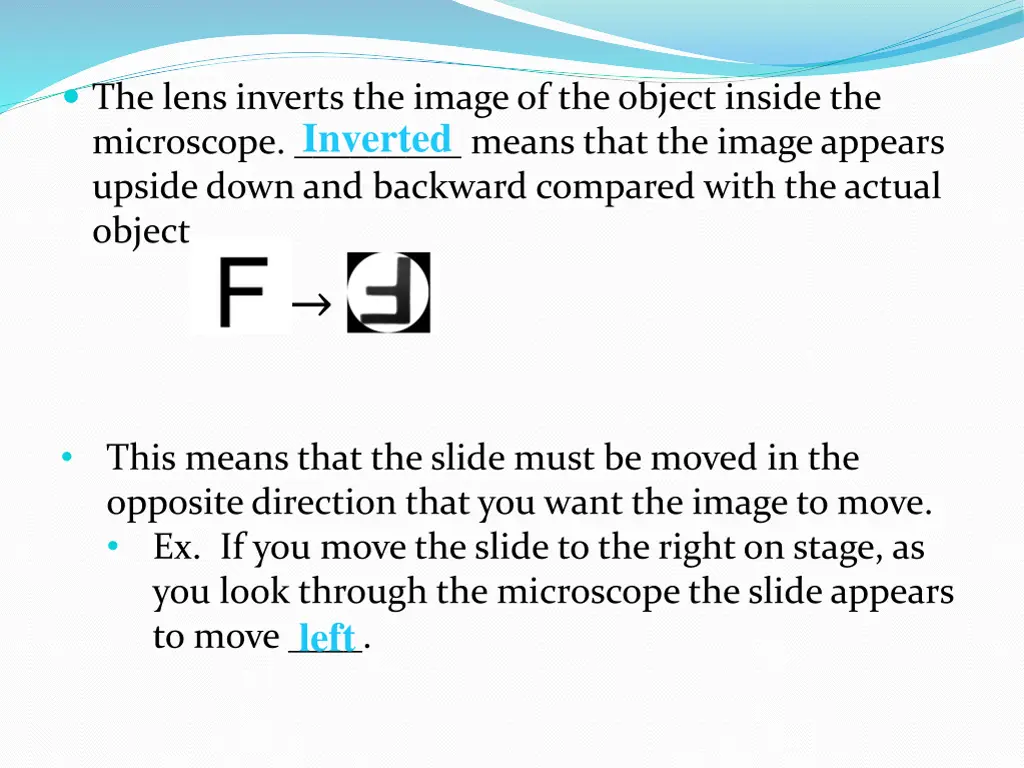 the lens inverts the image of the object inside