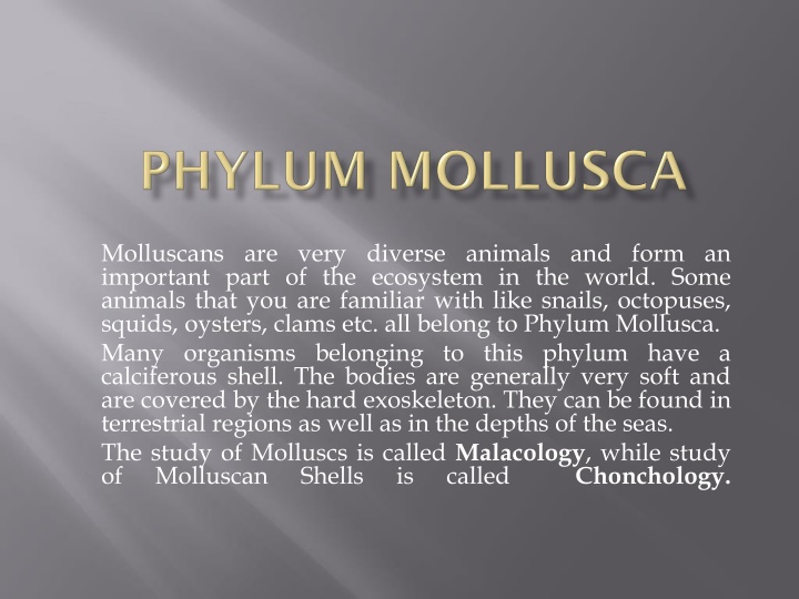 molluscans are very diverse animals and form