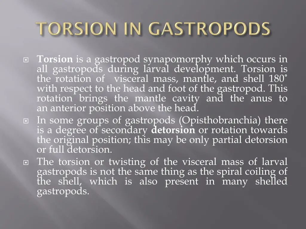 torsion is a gastropod synapomorphy which occurs